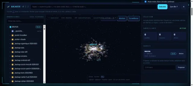 Capture d’écran du module Galaxie des fichiers (Capture de l’interface · BRUTUS)